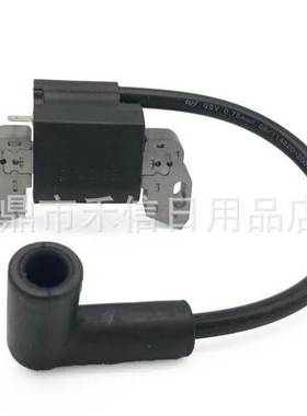 799582 802574 397358 493237 492416 796964 590454高压包