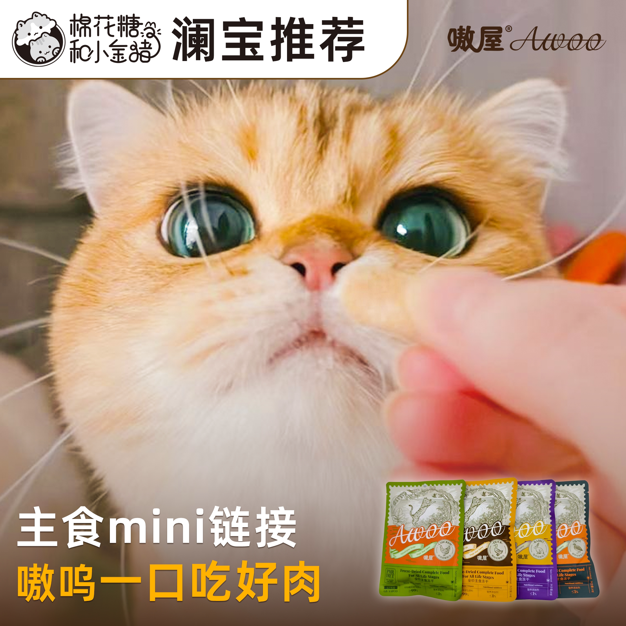 【主食Mini团购】生骨肉鸡鸭猫全价冻干粮