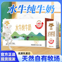 乳鹰水牛纯牛奶南国乳业水牛奶儿童学生广西水牛奶官方正品授权店