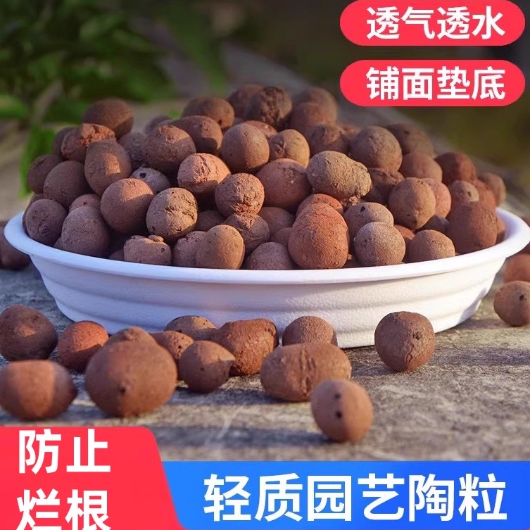 蛭石轻质肥料多肉植物园艺营养土