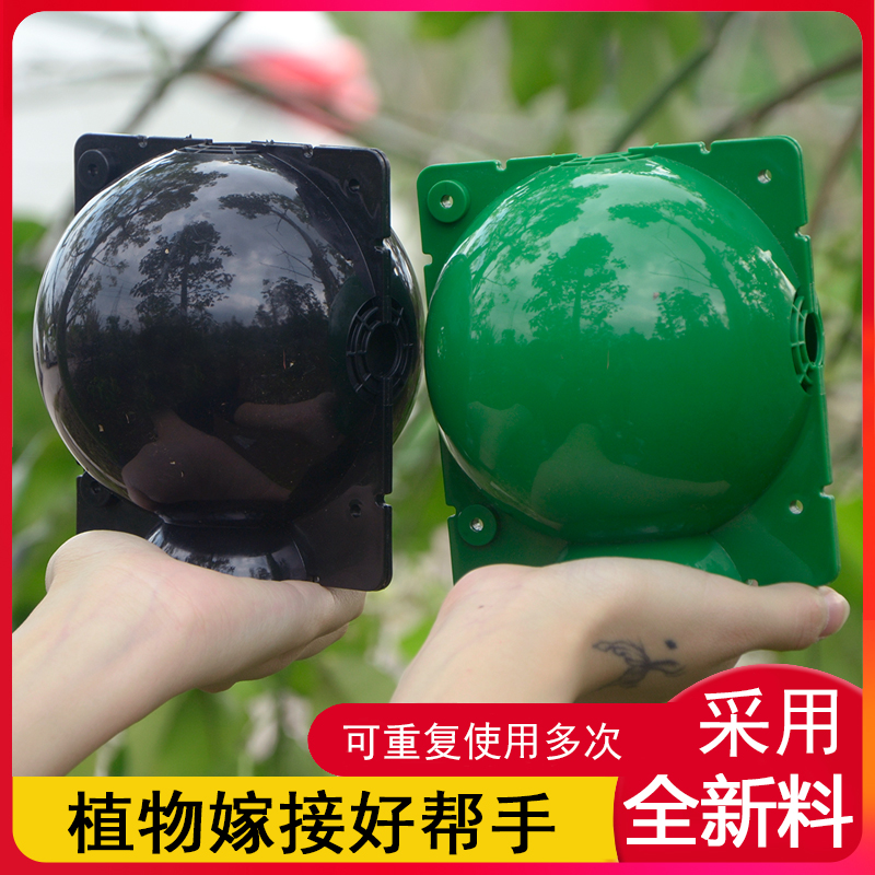 植物繁殖盒控根器果树扦插嫁接盒生根盒繁殖球生根育苗器繁殖器