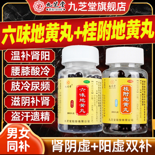九芝堂桂附地黄丸正品尿频肾虚肾阳虚体质中药调理男性六味地黄丸