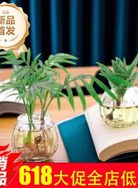 欧式风植物透明玻璃瓶装饰摆件
