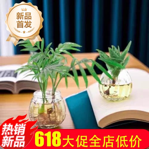 欧式风植物透明玻璃瓶装饰摆件