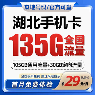 湖北荆州移动花卡手机流量卡电话卡低月租套餐4G上网大王卡无漫游