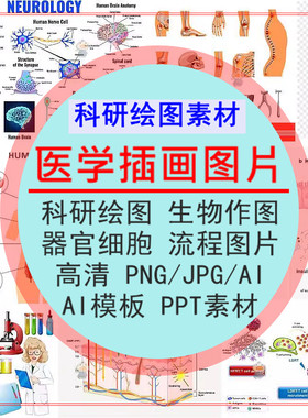 科研绘图素材细胞通路流程图医学插图生物器官AI模板PPT作图编辑