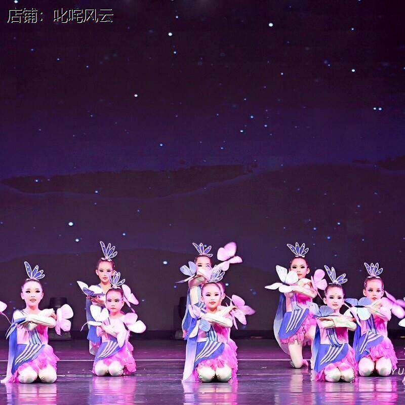 晓春飞蝶舞蹈演出服儿童