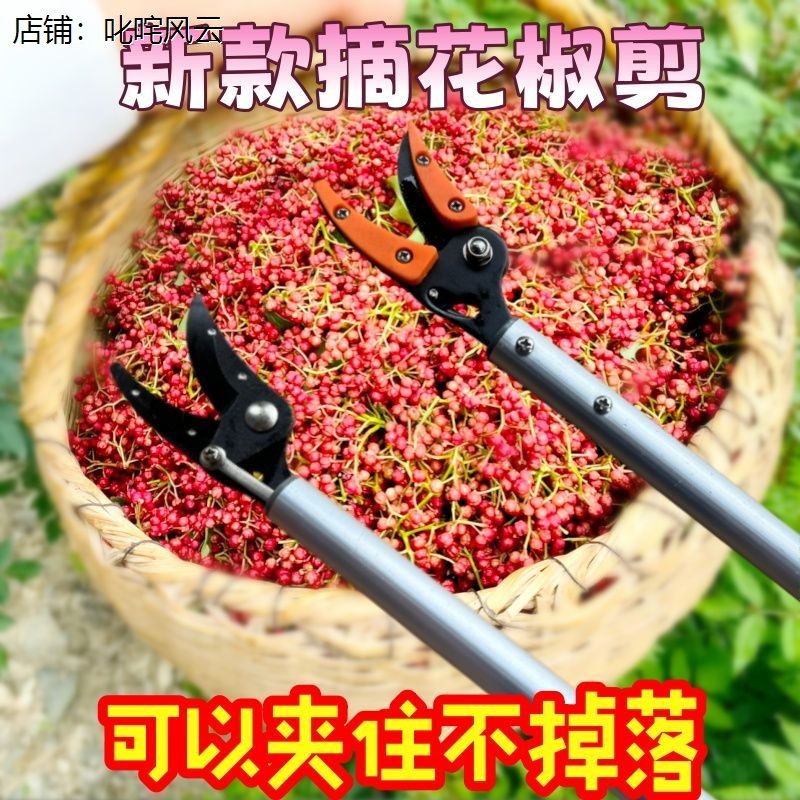 升级新款摘花椒专用剪刀