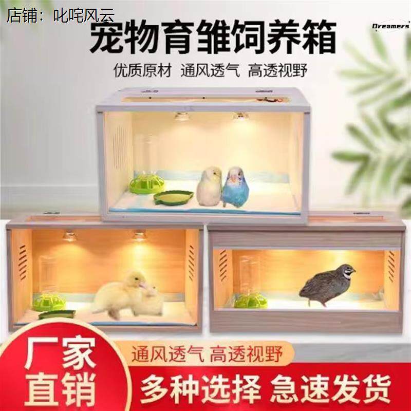 。鹦鹉保温箱芦丁鸡饲养