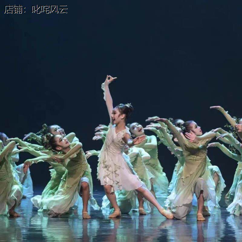 小荷风采《一叶知春》雪纺飘逸秧歌服儿童演出服舞台表演服舞蹈服