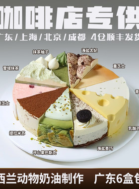 十拼慕斯蛋糕芝士商用冷冻甜品