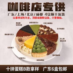 蓓听十拼蛋糕B款芝士冷冻咖啡店商用动物奶油冷冻西式糕点心甜品