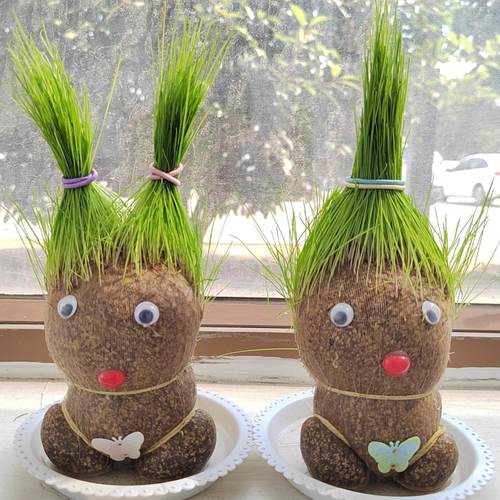 草头娃娃迷你植物办公摆件