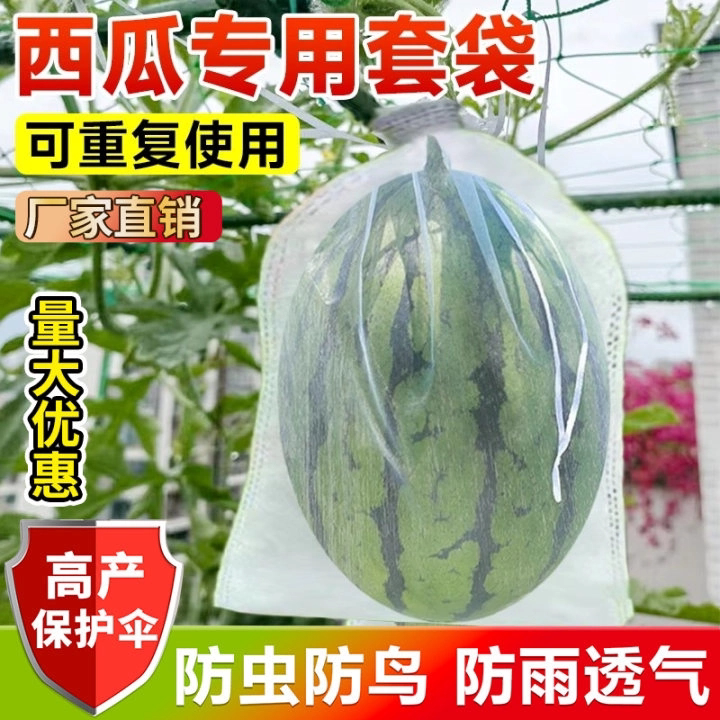 无纺布透气防虫防果蝇水果套袋