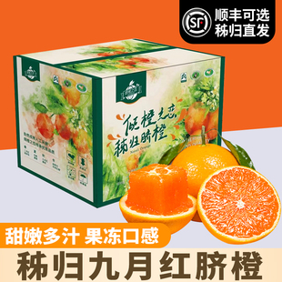 秭归九月红果冻脐橙湖北宜昌特产橙子应当季新鲜甜水果整箱包邮
