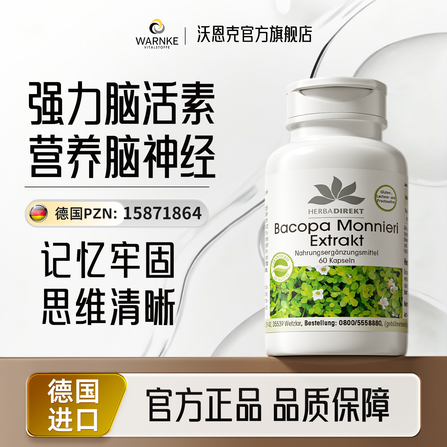 德国进口脑活素中老年成人大脑营养片银杏叶记忆力补脑神经酸提高,保健食品/膳食营养补充食品,银杏/人参银杏,淘宝优惠券,粉丝福利购,淘宝优惠卷