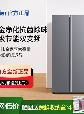 海尔一级能效对开双开门大容量风冷无霜家用冰箱BCD-541WGHSSEDG7