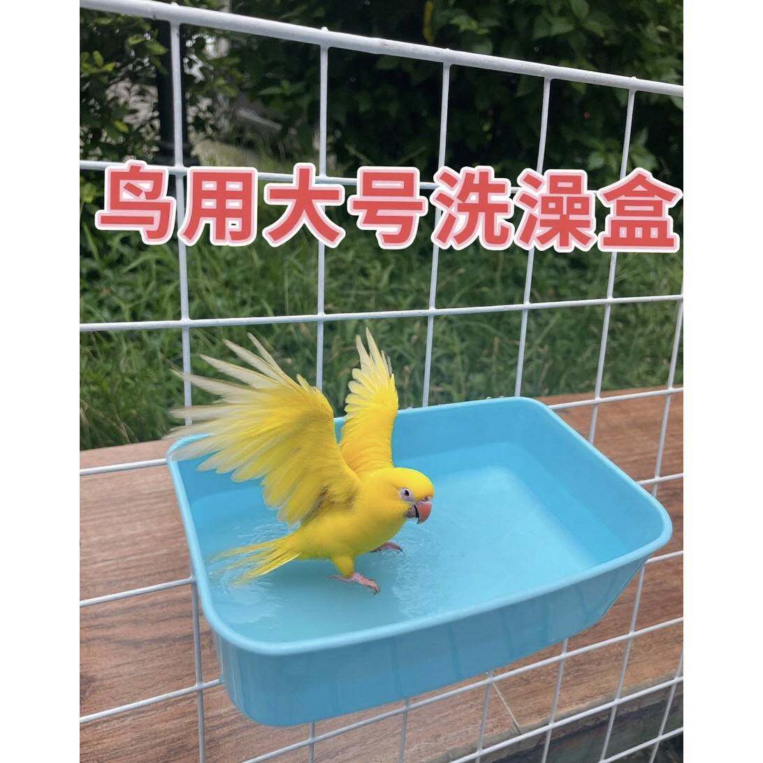 鹦鹉洗澡盆大号牡丹玄凤虎皮鸟用洗澡盘沐浴盆宠物猫咪狗狗食盒