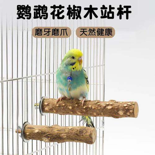 花椒木站杆鹦鹉磨爪棒小鸟八哥玄凤牡丹专用睡觉站架木棍天然健康