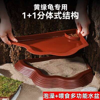 乌龟泡澡盆黄缘龟专用水盆分体式分离安缘陆龟喝水超大号两用造景