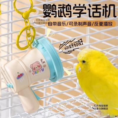 鹦鹉学说话神器玄凤牡丹八