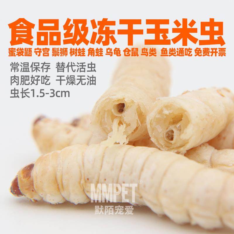 无菌玉米虫冻干葡萄蜂蜜虫