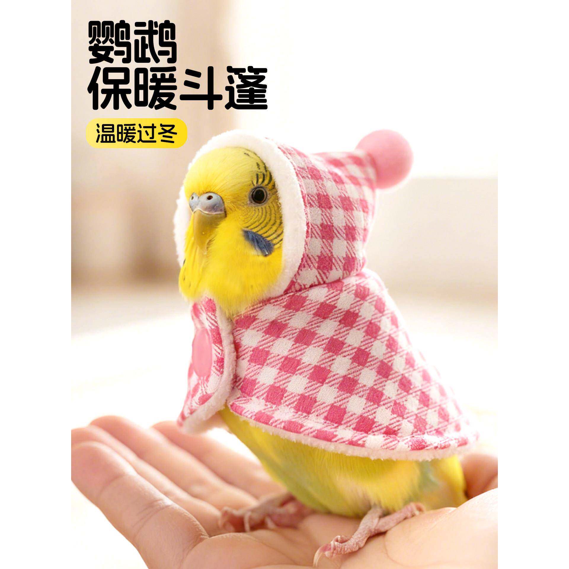 鹦鹉衣服斗篷小鸟披风虎皮牡丹玄凤小太阳加厚保暖外出专用鸟用品