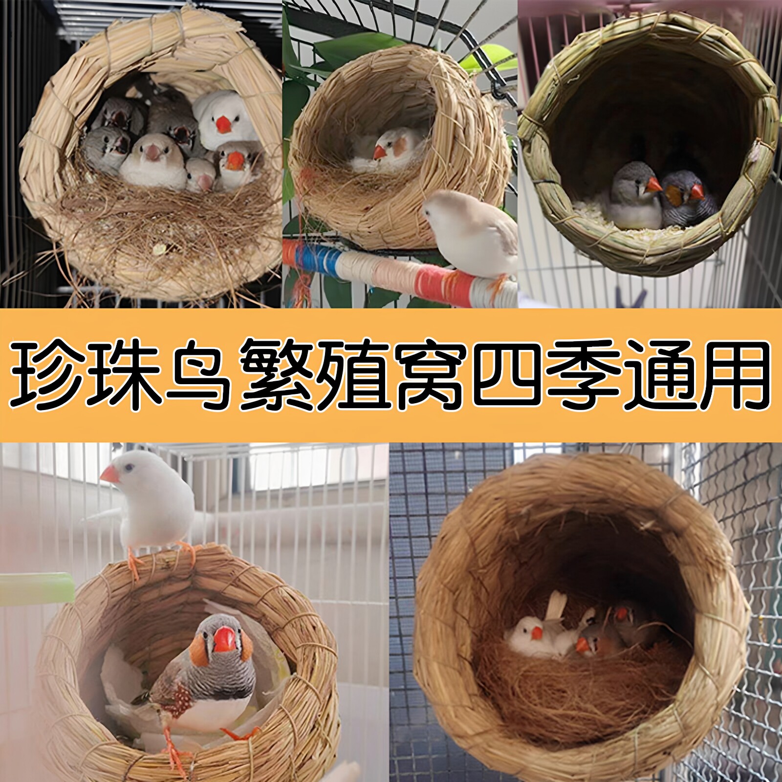 鹦鹉繁殖箱珍珠鸟鸟窝四季通用鸟