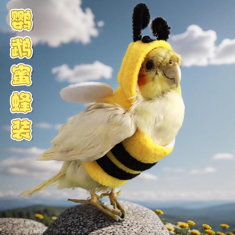 鹦鹉衣服斗篷披风保暖过冬披风牡丹小鸟虎皮玄凤鸟秋冬蜜蜂装