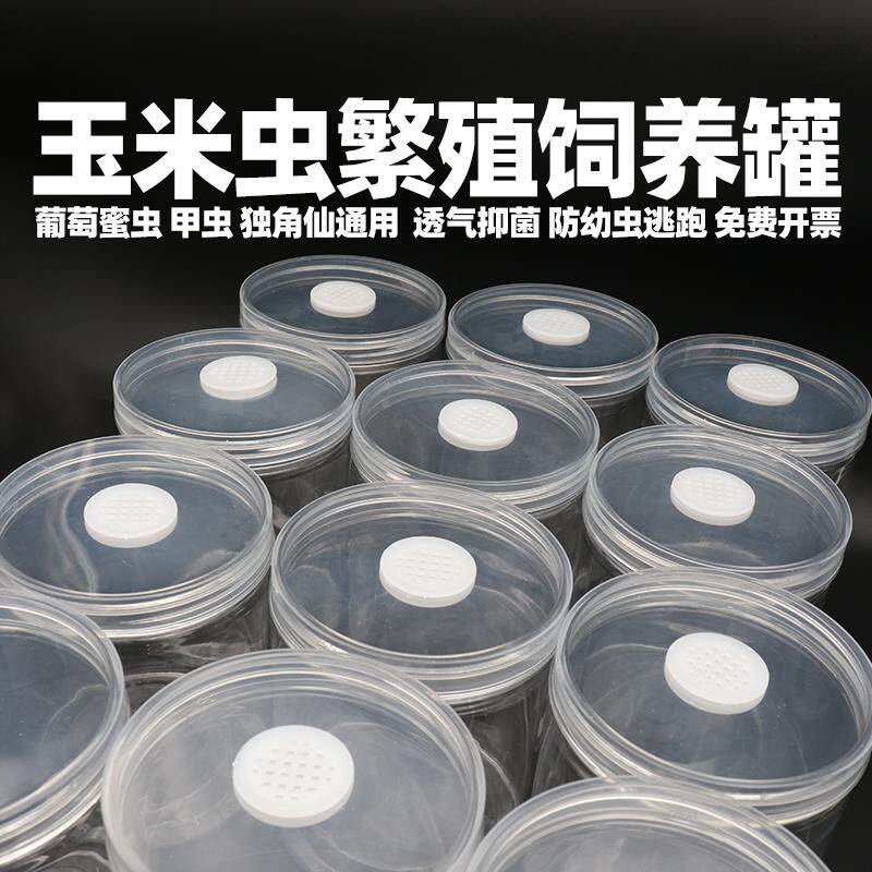 蜜虫饲养罐套餐活体葡萄虫