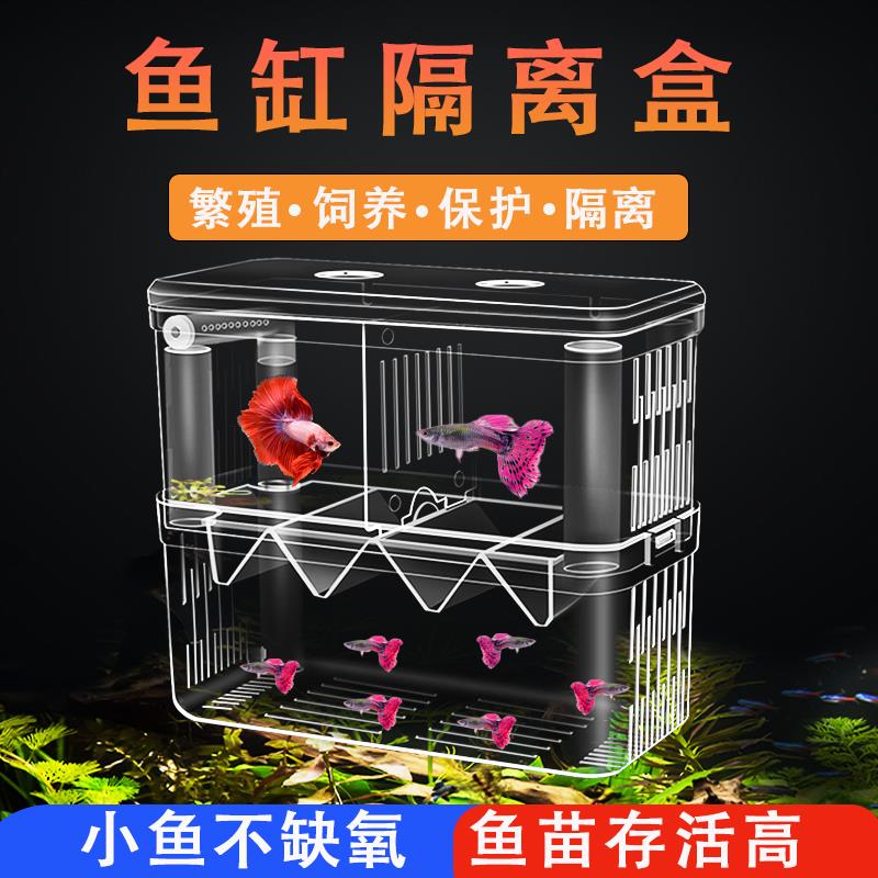 孔雀鱼隔离繁殖盒缸外亚克
