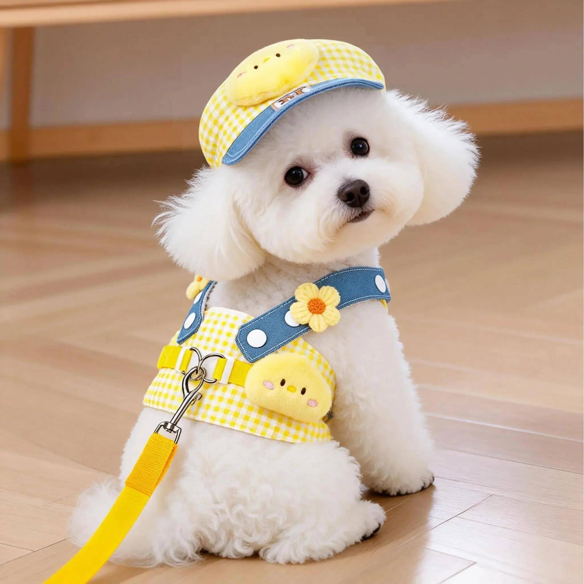 小狗胸背带狗狗牵引绳小型犬泰迪比熊约克夏马尔济斯幼犬背心式遛