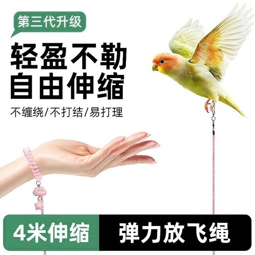 鹦鹉放飞绳专用不伤脚玄凤虎皮