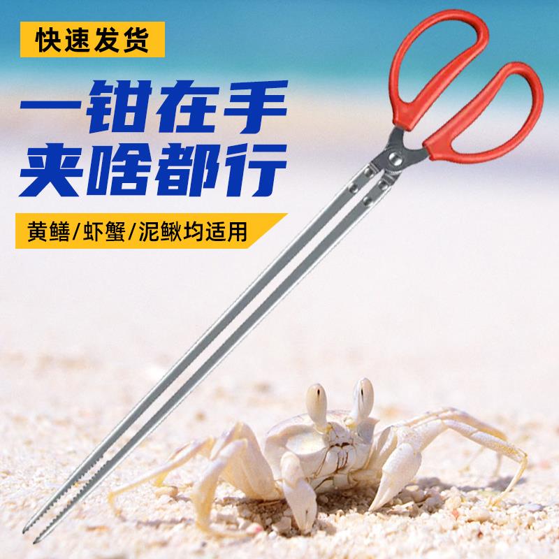 不锈钢黄鳝夹子鳝鱼夹赶海