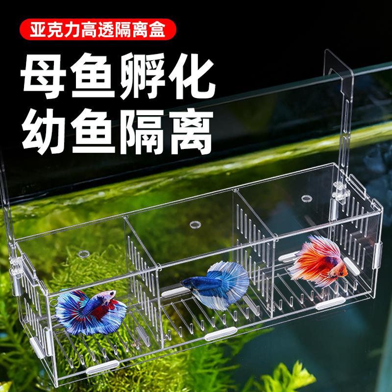 孔雀鱼隔离繁殖盒鱼缸隔离