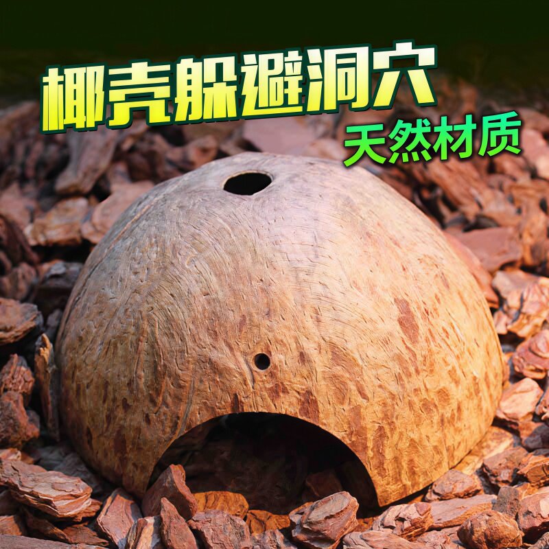 乌龟躲避屋爬宠躲避屋椰壳躲避洞穴天然椰子壳制品蜘蛛蝎子乌龟冬