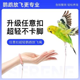 鹦鹉外出牵引绳小太阳和尚放飞绳户外遛鸟牵引弹力绳超轻不伤脚绳