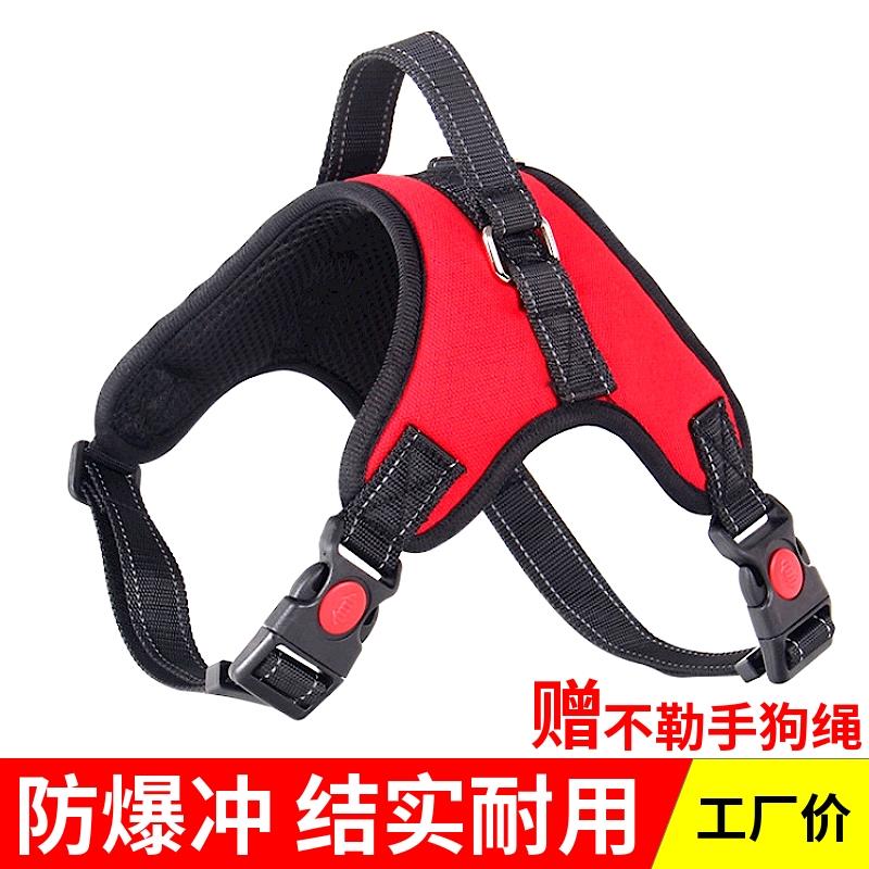狗牵引脖圈宠物绳胸背带背