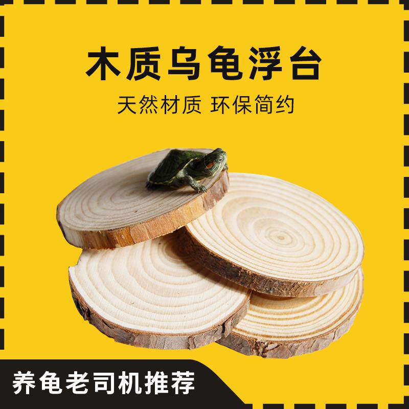 乌龟爬坡晒台浮木用品巴西