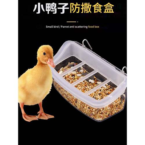 小鸡饲料喂食器新款柯尔鸭防溅鸟类小号悬挂笼子式宠物碗食槽防溅