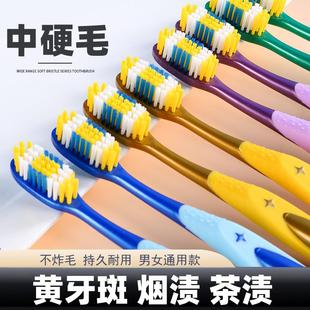硬毛牙刷超硬耐用成人高档牙刷家用大头牙刷牙刷家庭装 男女毛中硬