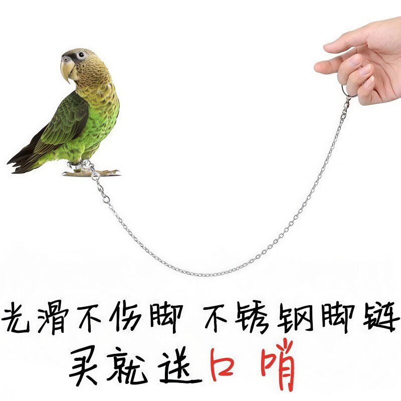 鹦鹉放飞遛鸟绳栓鸟绳小鸟