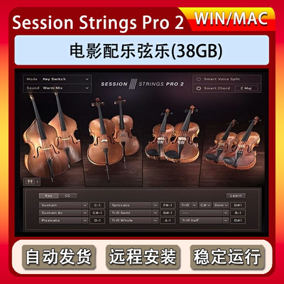 影视配乐弦乐音色录音室增强版-Session Strings Pro 2康泰克音源