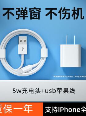 适用苹果充电器5s6s7/7p/8p手机快充头PD20w充电头iPhone13pro12xr11max通用闪充头快充线加长加粗套装