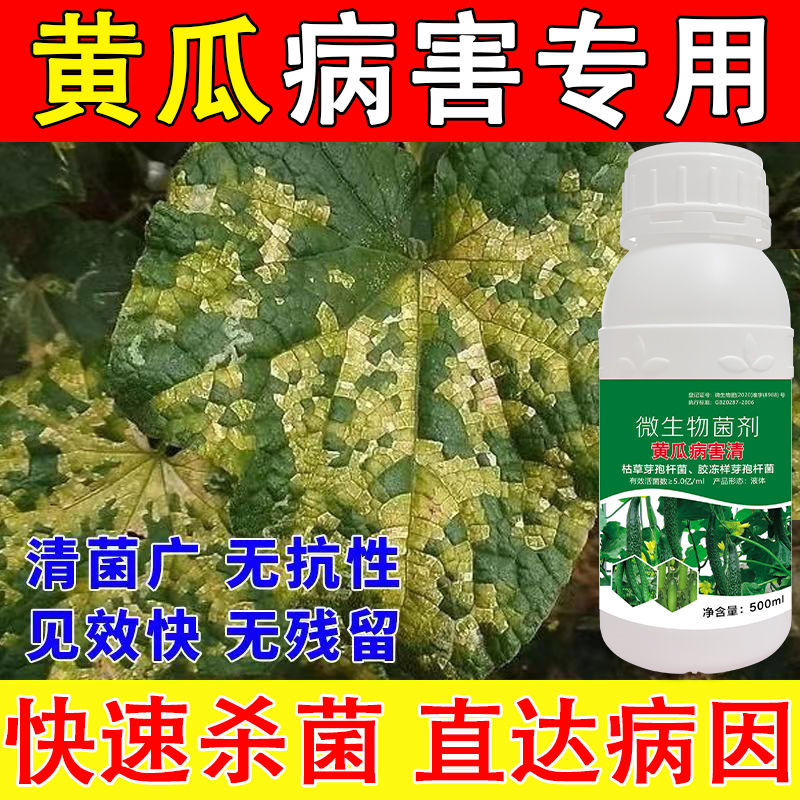 黄瓜霜霉病根腐病灰霉角斑靶斑枯萎病专用杀菌剂黄瓜病害清叶面肥