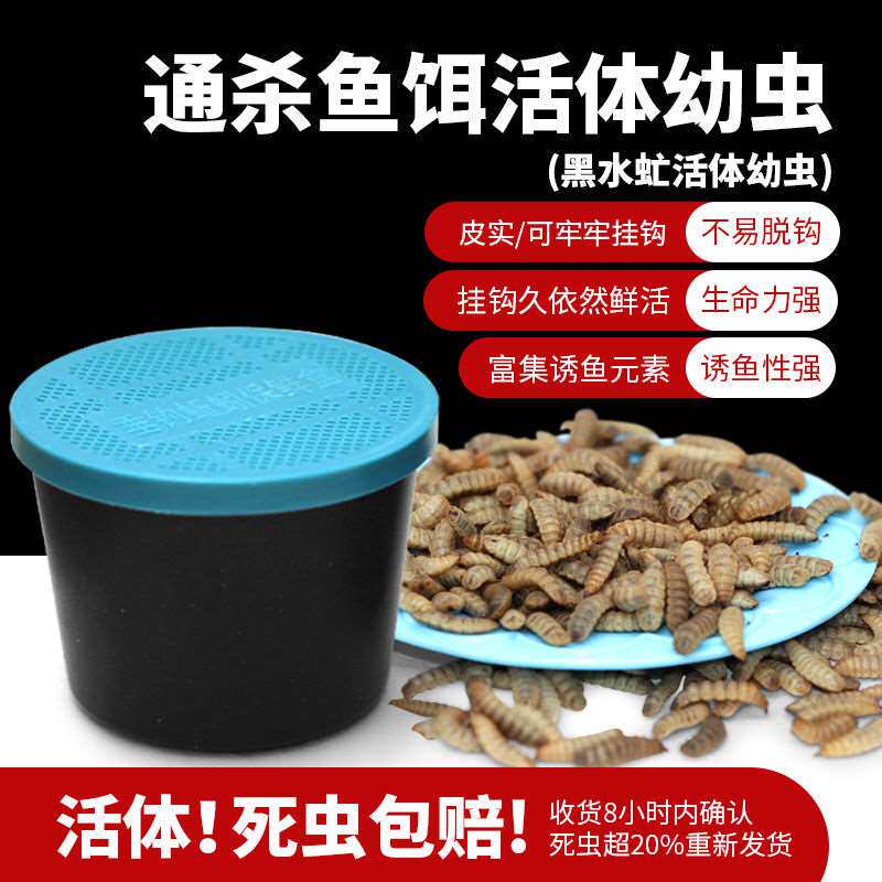 黑水虻幼虫鲤鱼蚕虫通杀大小鱼饵饵活体鲫鱼野钓黑坑钓鱼黄辣丁鲶