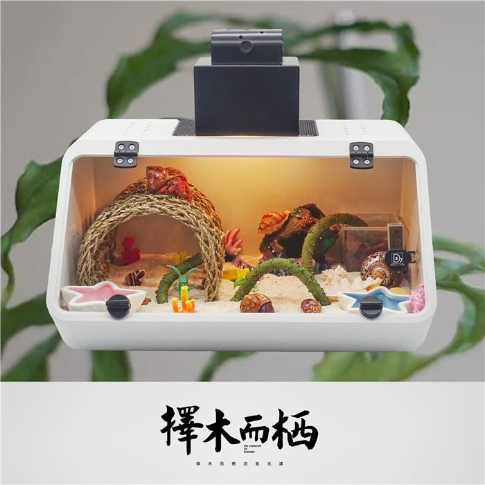 新手寄居蟹饲养套装爬宠造景展示缸乌龟缸活体宠物观赏蟹懒人宠物