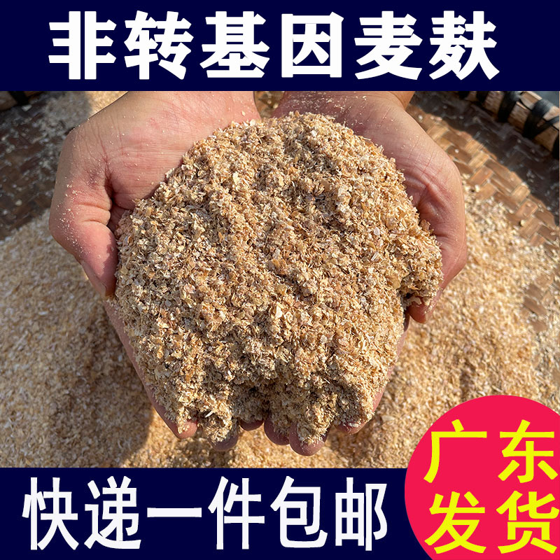 新鲜粗麦麸皮小麦麸鸡鹅鸭家禽饲料 钓鱼面包虫喂猪兽用粮食皮粉
