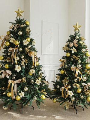 香桔 圣诞节装饰品15米圣诞树套餐21米18米加密家用小型套装树