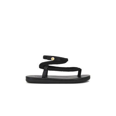 Ancient Greek Sandals 凉鞋 黑色 女款 REVOLVE小众新款